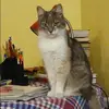 Отзыв от Вероника Медведева